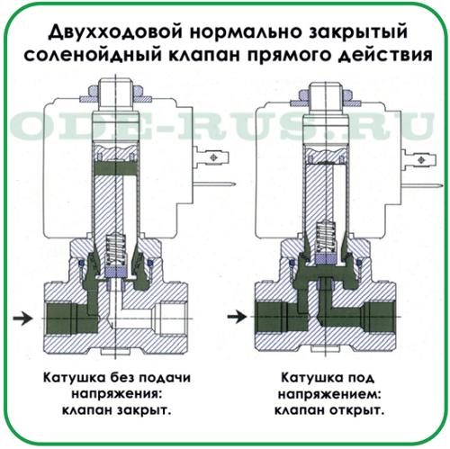 Кл прямого действия.jpg