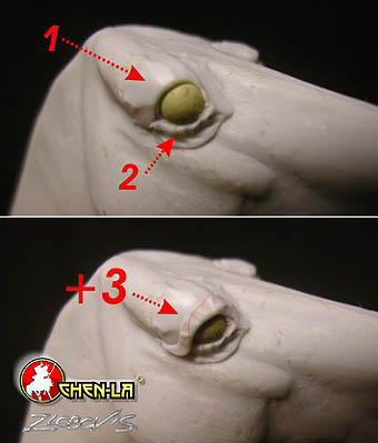 ___17.jpg