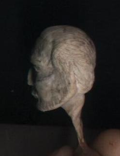 Изображение 035.jpg