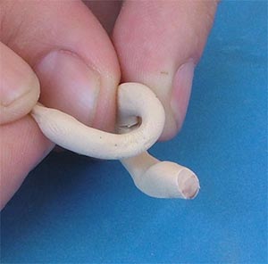 Elasticlay